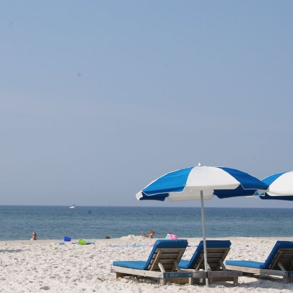 Meet your Posher, Carla - Picture 1 of 1